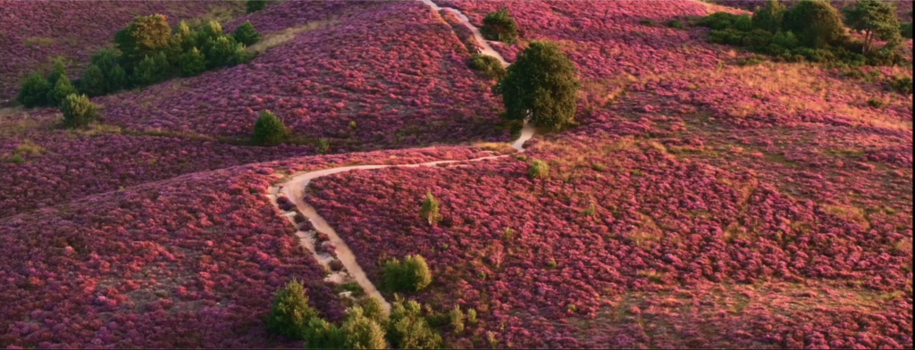 Знімок екрана 2026 02 11 о 19.06.45